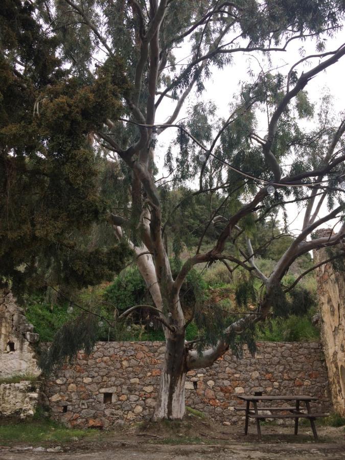 Villa Kamari-Cretan Style Apartment Kritsá 外观 照片