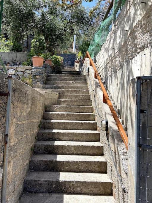 Villa Kamari-Cretan Style Apartment Kritsá 外观 照片